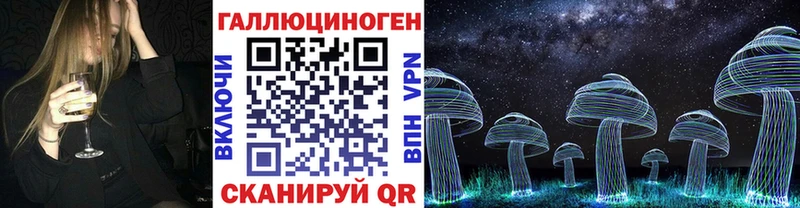 Псилоцибиновые грибы Psilocybe  OMG как зайти  Невельск 